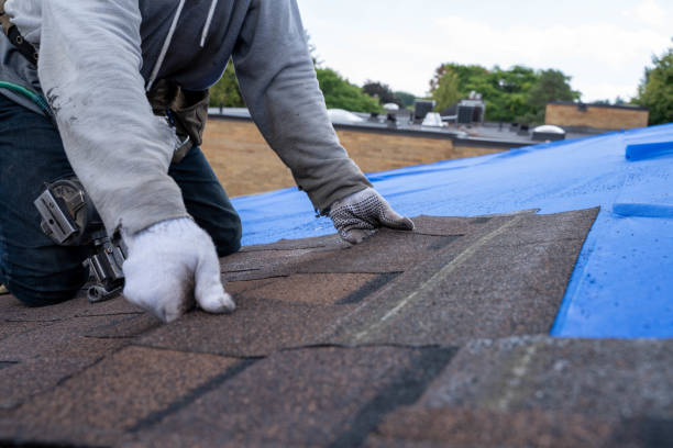 Quick and Trustworthy Emergency Roof Repair Services in Webster, TX